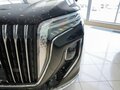 2025 Hongqi HQ9, чёрный - вид 5