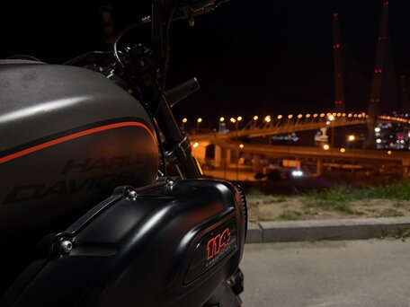 2019 Harley-Davidson FXDR 114, чёрный, 1700000 рублей, вид 5