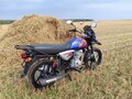 2019 Bajaj Boxer BM 125, синий, 80000 рублей - вид 2