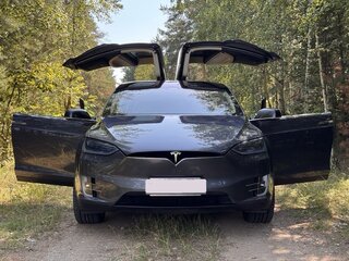 2017 Tesla Model X 100D I, серый, 2100000 рублей, вид 1