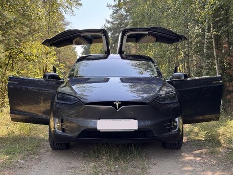 2017 Tesla Model X 100D I, серый, 2100000 рублей, вид 1