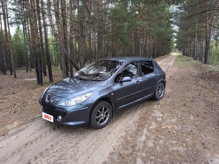 2007 Peugeot 307 I Рестайлинг, серый, 375000 рублей, вид 4