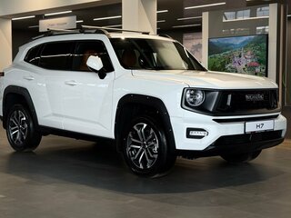 2026 Haval H7 I, белый, 4199000 рублей, вид 4