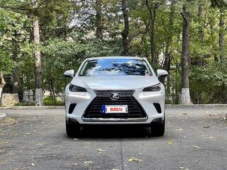 2020 Lexus NX 200 I Рестайлинг, белый, 2764000 рублей, вид 2