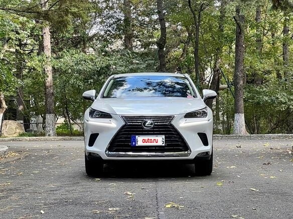 2020 Lexus NX 200 I Рестайлинг, белый, 2764000 рублей - вид 1