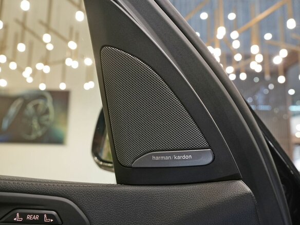 2021 BMW X7 40i I (G07), чёрный - вид 19