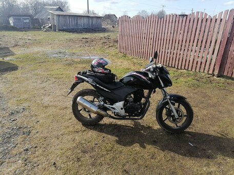 2013 Stels Flex 250, чёрный, 60000 рублей, вид 2