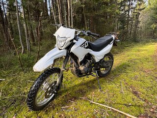 2025 Racer Caiman, белый, 140000 рублей, вид 3