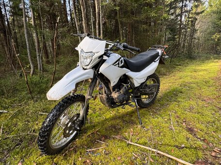 2025 Racer Caiman, белый, 160000 рублей, вид 3