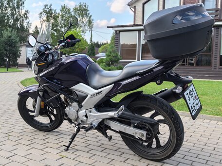 2016 Yamaha YS250 Fazer, фиолетовый, 350000 рублей, вид 4