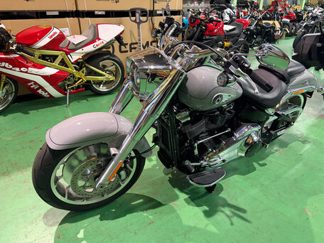 2025 Harley-Davidson Fat Boy, серый, 2280000 рублей, вид 3