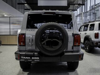 2026 Tank 300 I, серый, 4799000 рублей, вид 5