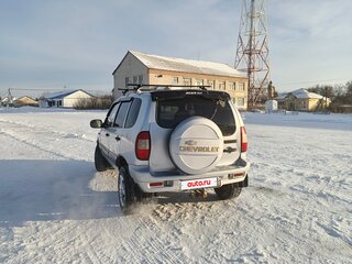 2007 Chevrolet Niva I, серый, 280000 рублей, вид 5