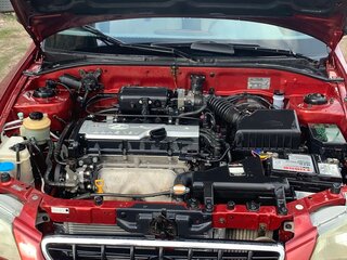 2006 Hyundai Accent ТагАЗ II, красный, 469000 рублей, вид 5