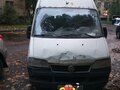 2010 Fiat Professional Ducato, белый, 600000 рублей
