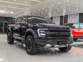 2024 Ford F-150 Raptor XIV, синий, 10490000 рублей, вид 1