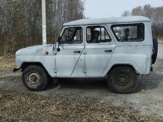 1998 УАЗ 31519, серый, 260000 рублей, вид 4