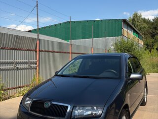 2006 Skoda Fabia I Рестайлинг, серый, 490000 рублей, вид 1