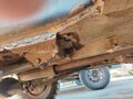 1985 Lada (ВАЗ) 2121 (4x4) I, красный, 60000 рублей - вид 11