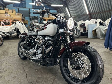 2021 Harley-Davidson Softail Slim, пурпурный, 1490000 рублей, вид 1