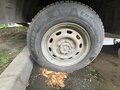 2012 ГАЗ ГАЗель (3302), белый, 599000 рублей - вид 6
