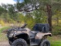 2012 Arctic Cat 650 Series, коричневый, 349000 рублей - вид 6