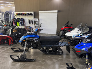 2026 Regulmoto Raccoon, синий, 181100 рублей, вид 2