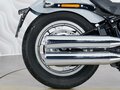 2024 Harley-Davidson Softail Standard, серый, 1699000 рублей - вид 8