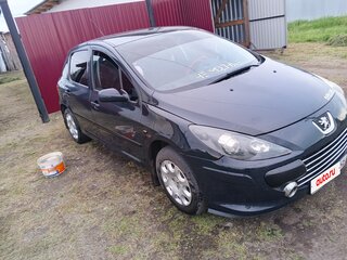 2006 Peugeot 307 I Рестайлинг, серый, 150000 рублей, вид 2