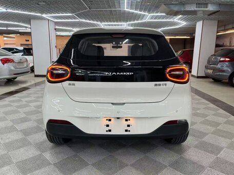 2025 Dongfeng Nammi 01 42.3 kWh, белый, 1490000 рублей, вид 5