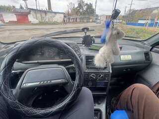 2006 Lada (ВАЗ) 2110, серый, 130000 рублей, вид 5