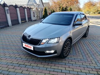 2019 Skoda Octavia III (A7) Рестайлинг, серый, 1300000 рублей, вид 5
