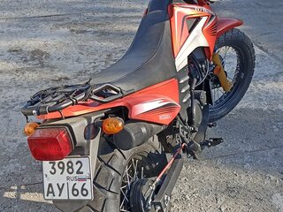 Racer Forester