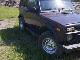 2010 Lada (ВАЗ) 2121 (4x4) I Рестайлинг, коричневый, 275000 рублей, вид 2