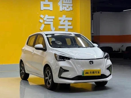 2022 Changan Benben E-Star 32 kWh, белый, 990000 рублей, вид 4