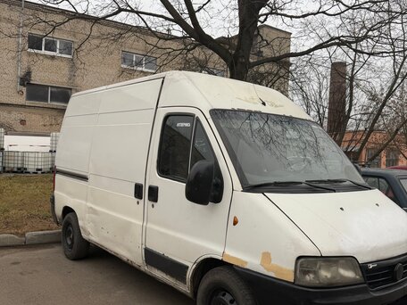 2010 Fiat Professional Ducato, белый, 480000 рублей, вид 3