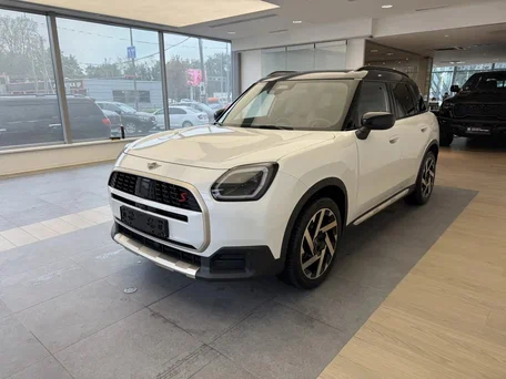 Mini Countryman III