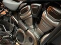 2024 Harley-Davidson Pan America Special, зелёный, 2400000 рублей - вид 4
