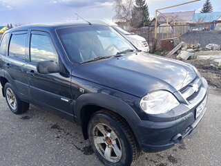 2007 Chevrolet Niva I, чёрный, 300000 рублей, вид 1
