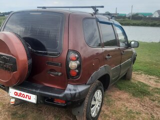 2003 Chevrolet Niva I, серебристый, 260000 рублей, вид 5