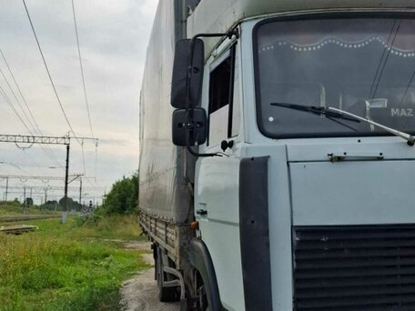 2005 МАЗ 4370, белый, 550000 рублей, вид 3