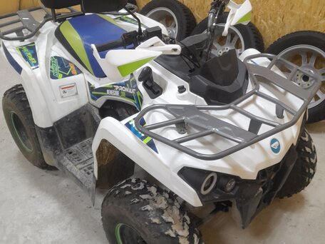 2022 Promax ATV 300, белый, 250000 рублей, вид 1