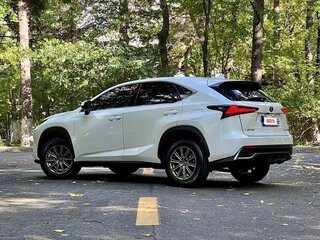 2020 Lexus NX 200 I Рестайлинг, белый, 2764000 рублей, вид 4