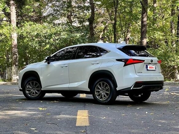 2020 Lexus NX 200 I Рестайлинг, белый, 2764000 рублей - вид 3