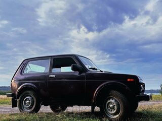 2014 Lada (ВАЗ) 2121 (4x4) I Рестайлинг, пурпурный, 387000 рублей, вид 4