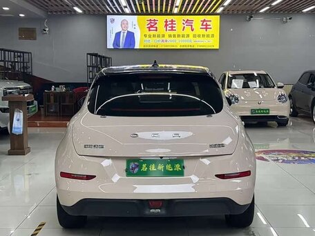 2022 Ora Good Cat 47.8 kWh I, бежевый, 1370000 рублей, вид 5