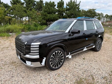 Hyundai Palisade II