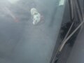 2007 Mitsubishi Lancer IX Рестайлинг, серебристый, 300000 рублей - вид 4