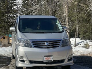 2004 Toyota Alphard I, серебристый, 1700000 рублей, вид 2