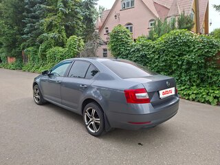 2019 Skoda Octavia III (A7) Рестайлинг, серый, 1499000 рублей, вид 4